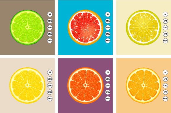 Lemon Orange Fruits Slice Vector Set for Graphics and Illustrations