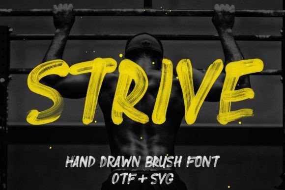 Strive Fonts: A Script Amp Review for Real Client Work